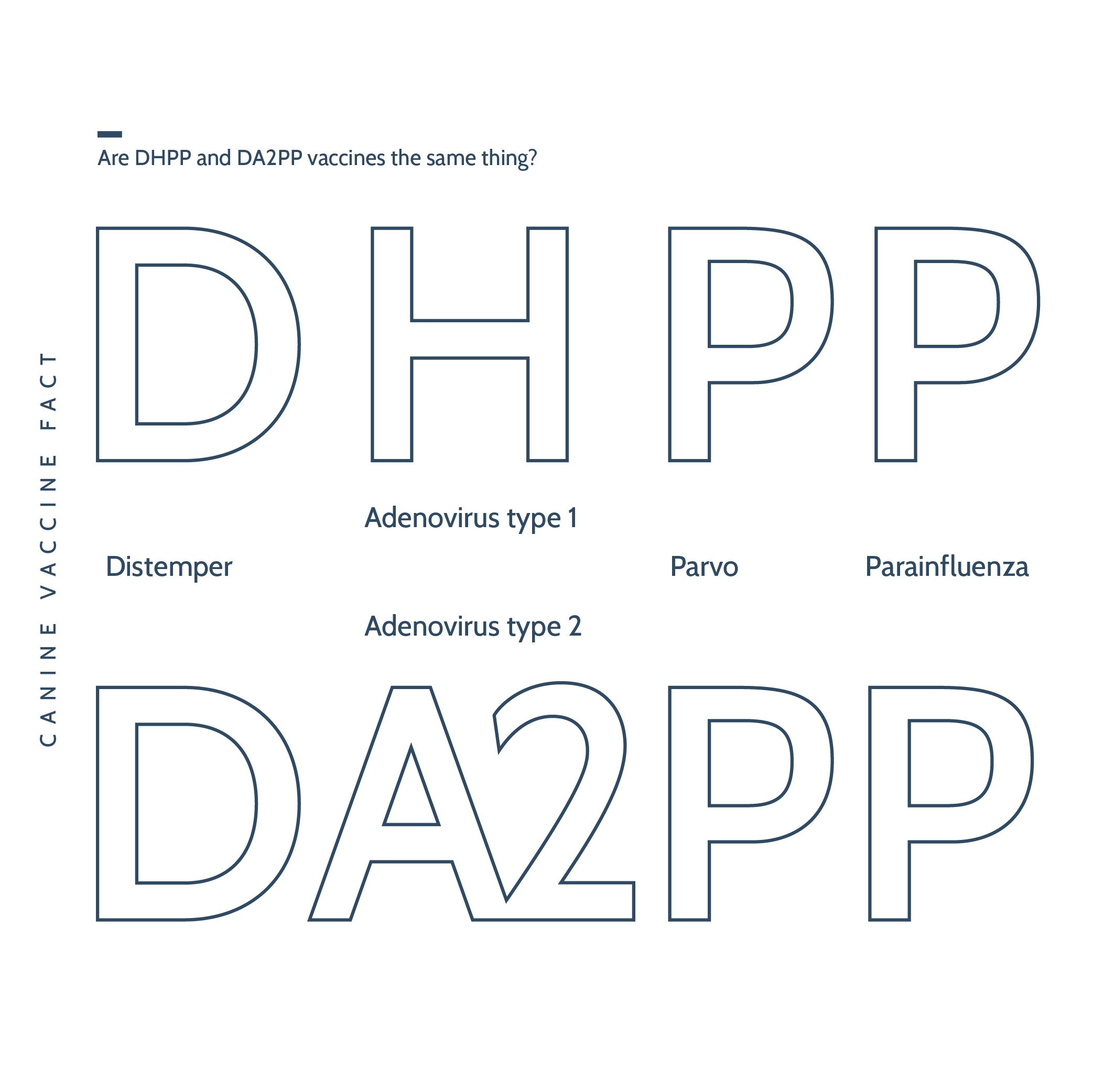 How the DA2PP Vaccine Works