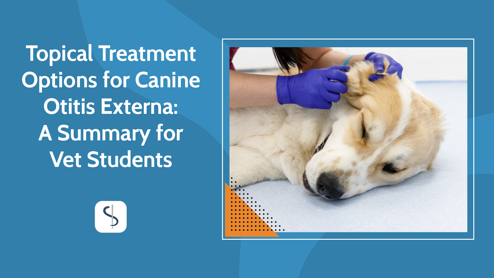 canine otitis externa treatment