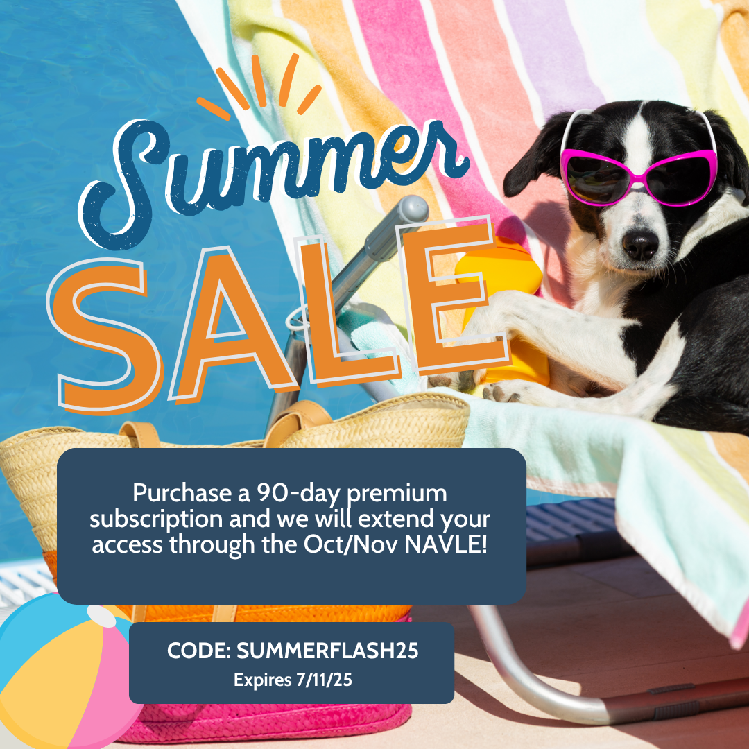 Summer Flash Promo