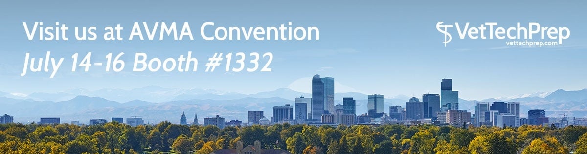 New call-to-action