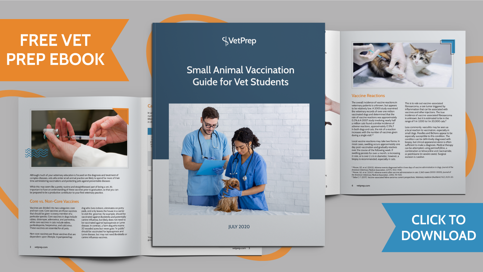 Vaccine Guide (Vet Approved) - digital download